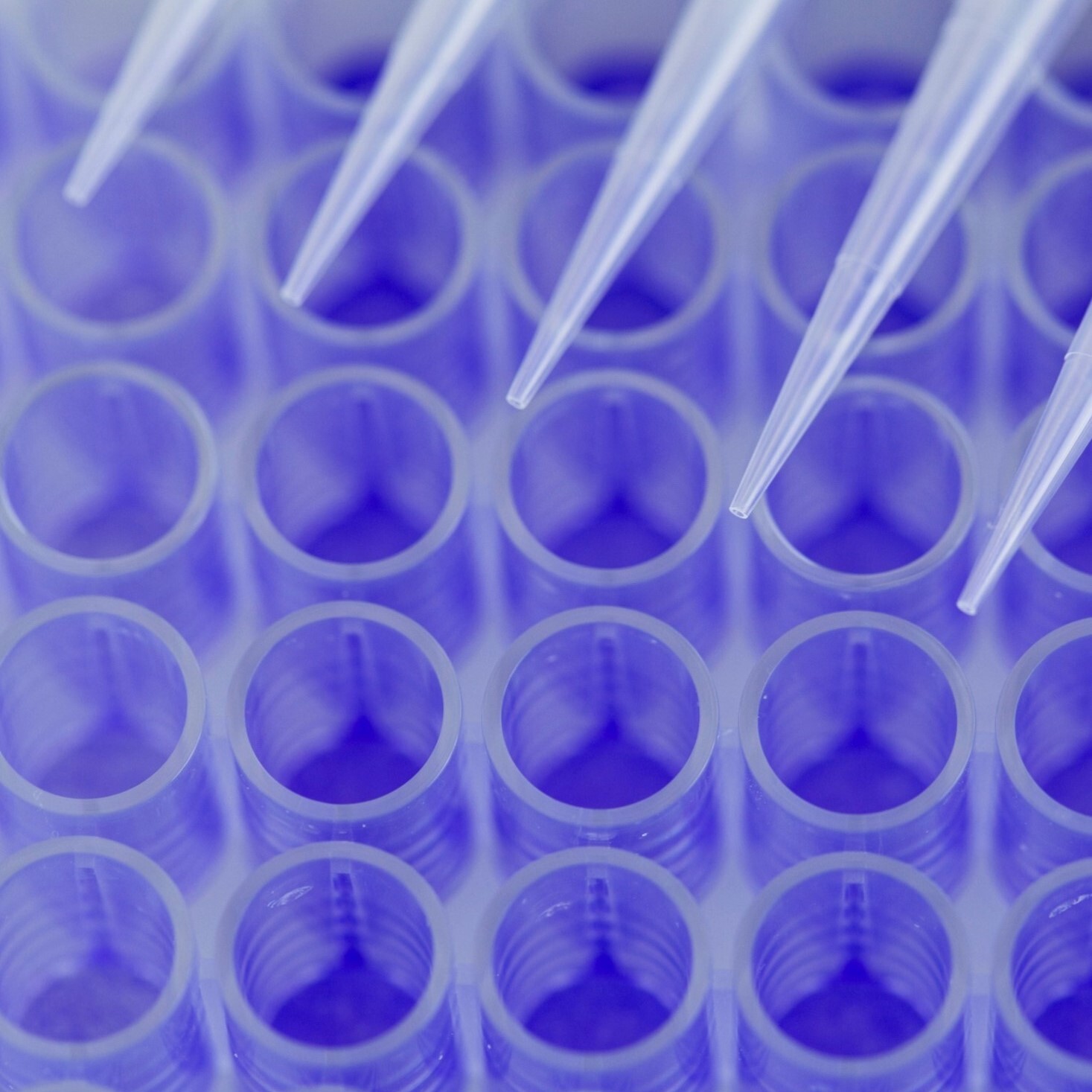 4 Key Strategies for Future-Proofing Gene Therapy Assay Validation-1